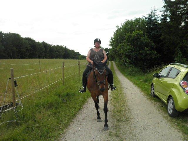 Dansk Varmblod Refsgaards Monique. RIP - Hjemvendt fra den gode skovtur d.3/7-12. billede 9