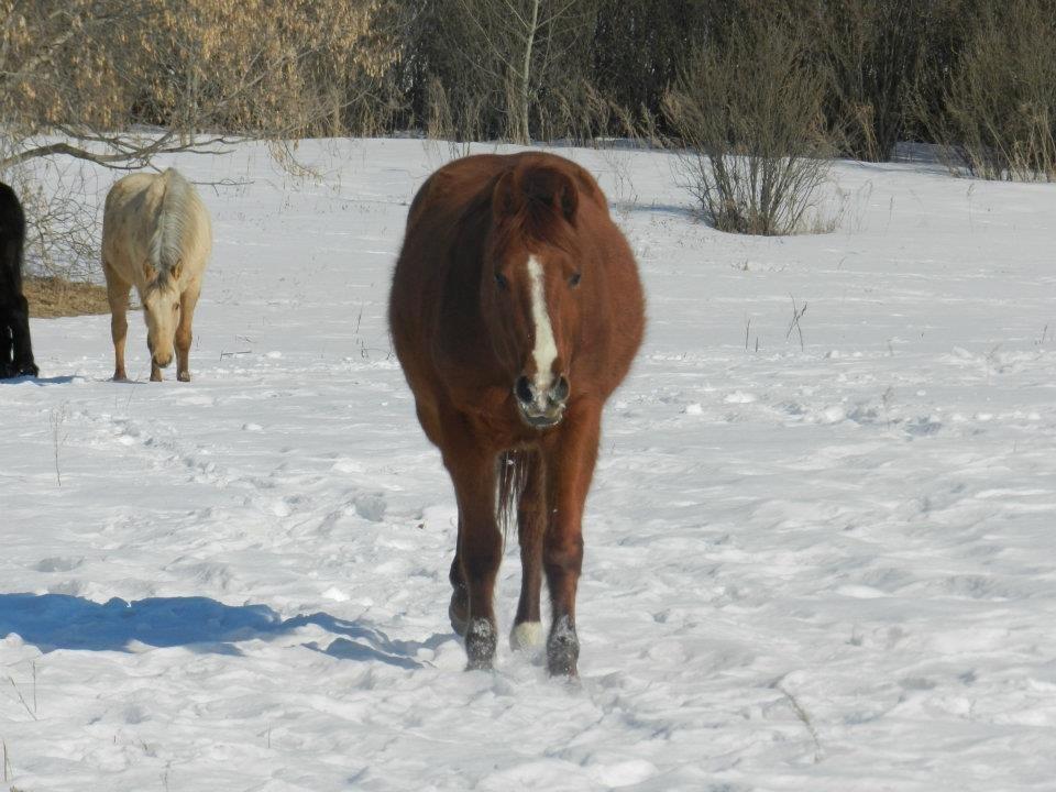 Anden særlig race Racing star - Min lille tykke dreng  billede 3