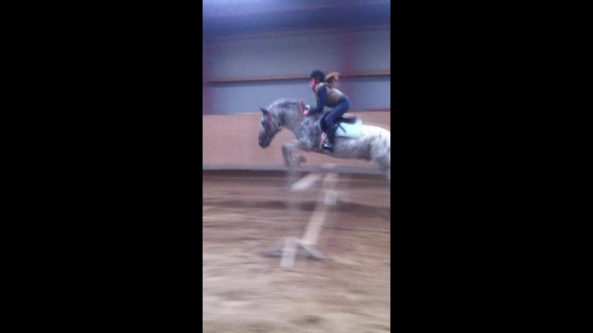 Appaloosa Benno - Da jeg prøvede ham, april 2012 billede 14