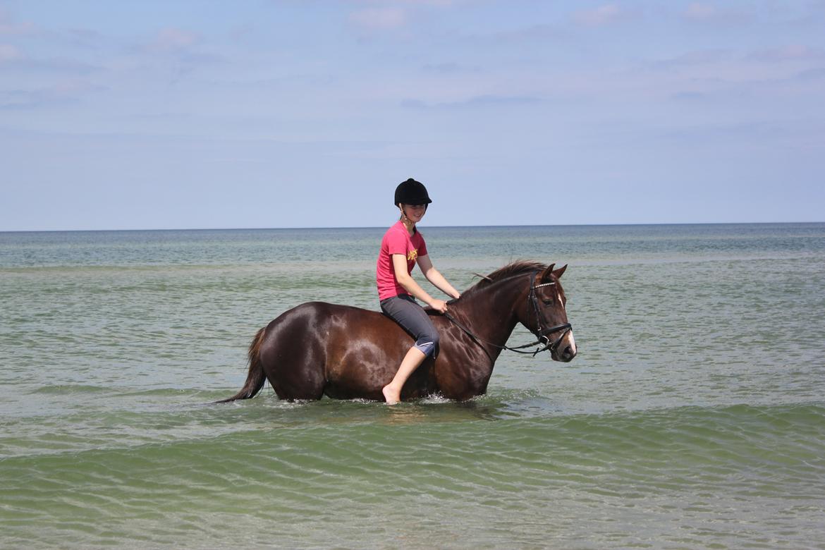 Anden særlig race Miranda (Tidl. hest) - 16) Sommer 2012 - verdens bedste pony!! billede 16