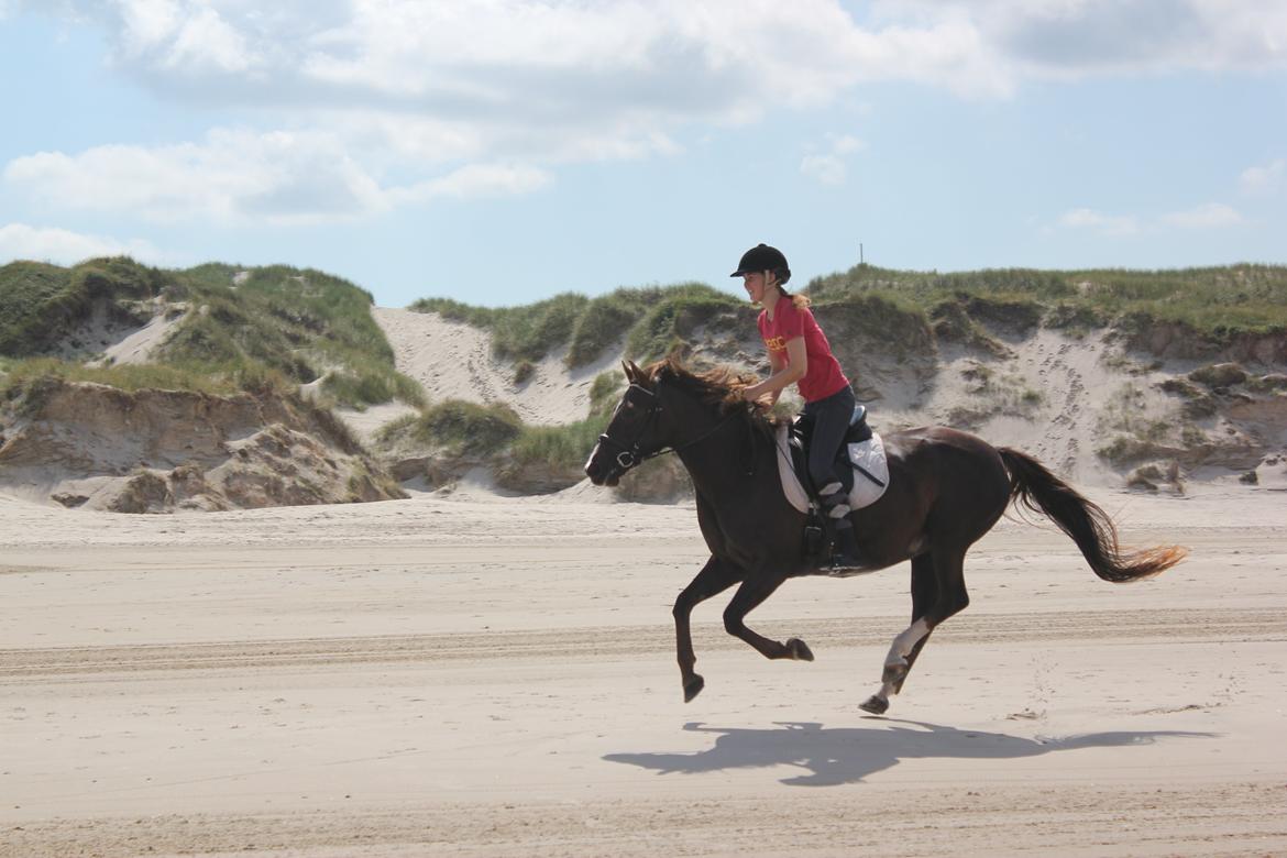 Anden særlig race Miranda (Tidl. hest) - 10) sommer 2012! min lækkere pony <3 billede 10