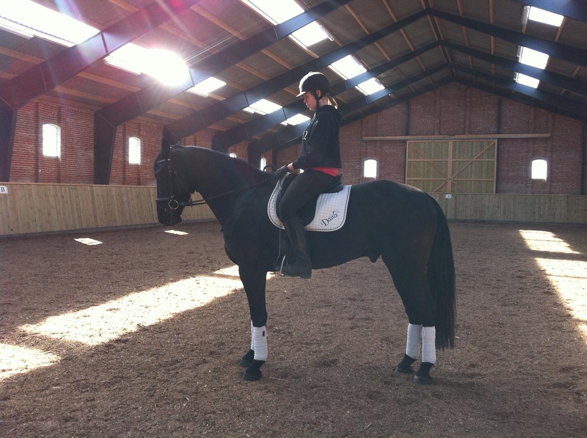 Oldenborg Sorél af Dano billede 3