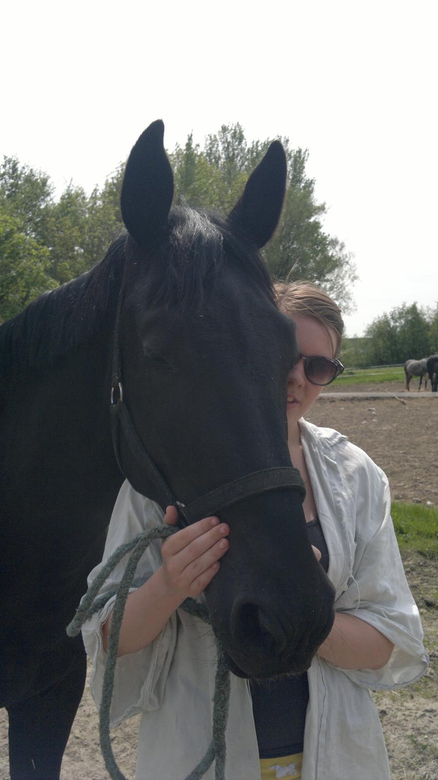 Oldenborg Sorél af Dano billede 4