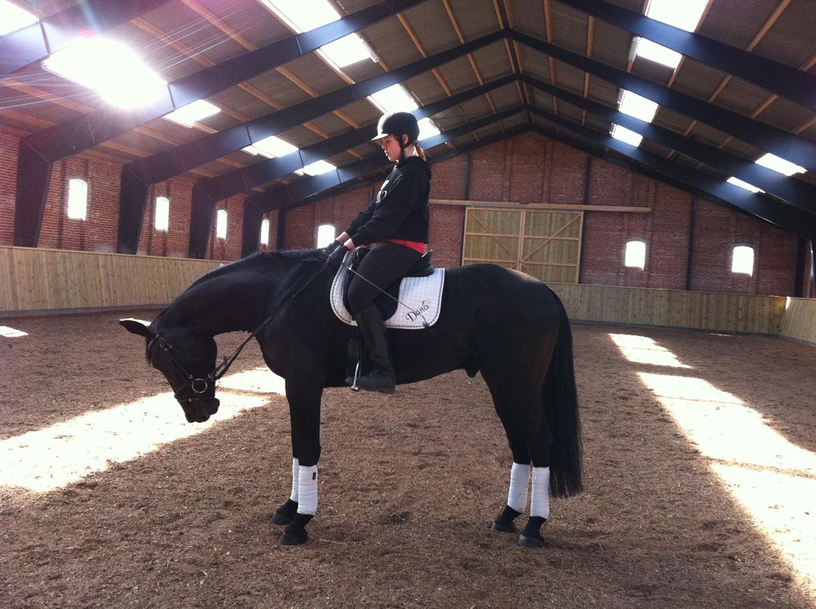 Oldenborg Sorél af Dano billede 7