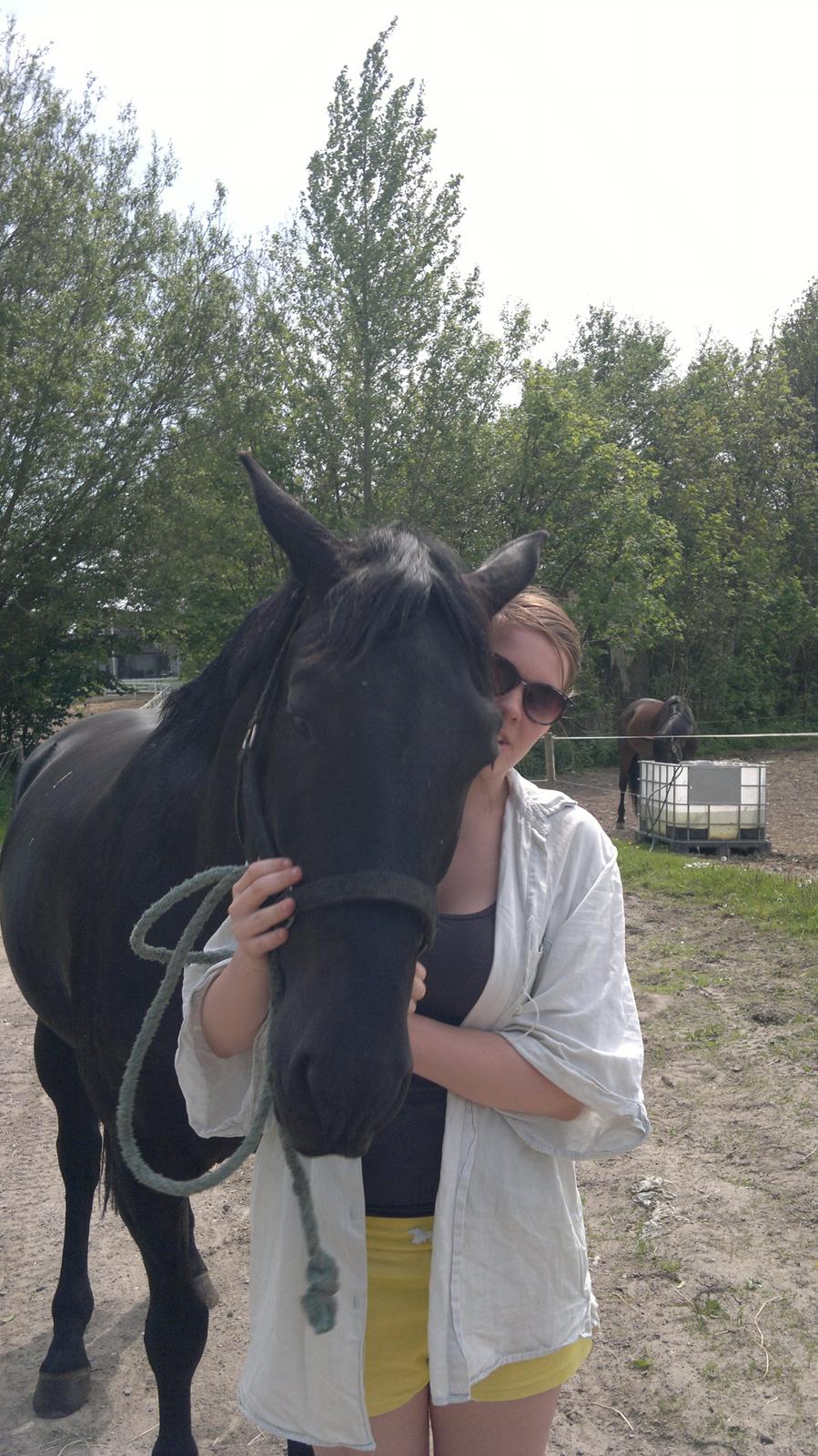 Oldenborg Sorél af Dano billede 9