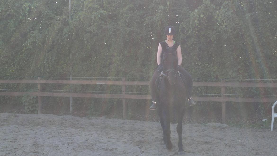 Oldenborg Sorél af Dano billede 10