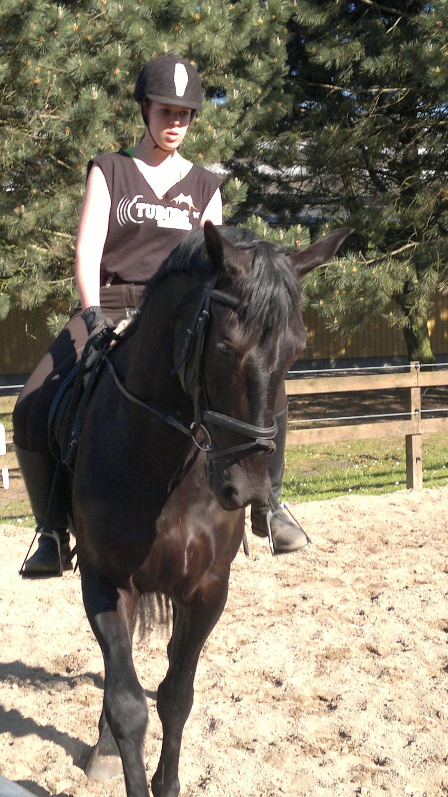 Oldenborg Sorél af Dano billede 11