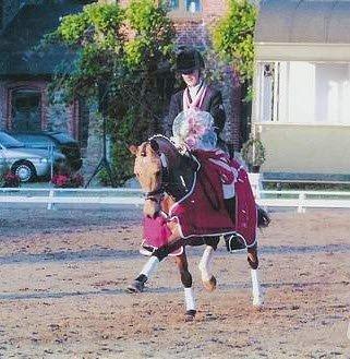 Anden særlig race Dunn - Med tidliger ejer til Nordisk Mesterskab billede 2