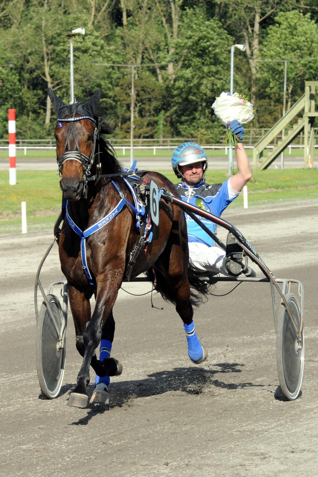 Traver Rotation Yankee *DØD* - Verdens Bedste og smukkeste hest <3 billede 2