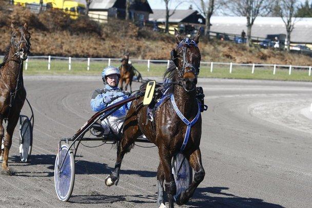 Traver Rotation Yankee *DØD* - på vej til Præsentation  billede 6