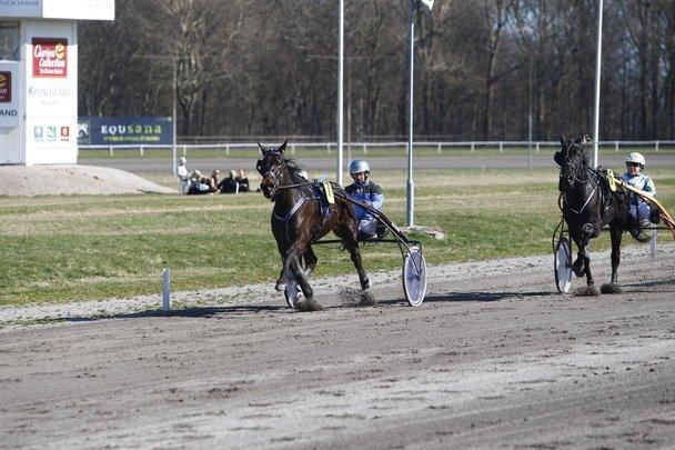 Traver Rotation Yankee *DØD* - På vej til at vinde  billede 7