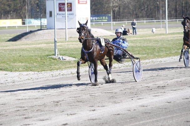 Traver Rotation Yankee *DØD* - Afkandrng  billede 11