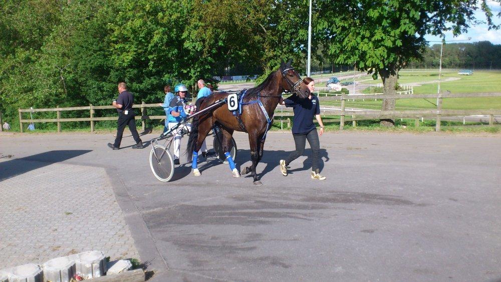 Traver Rotation Yankee *DØD* - Efter løbet  billede 13