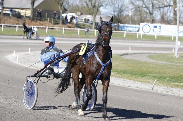 Traver Rotation Yankee *DØD* - på vej i vinder cirklen  billede 14