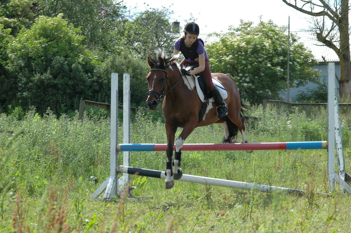 Anden særlig race Spotlight<3 billede 18