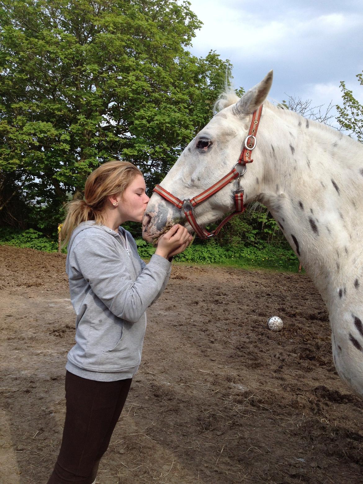 Knabstrupper Friis' Mira - Kyyyys billede 16