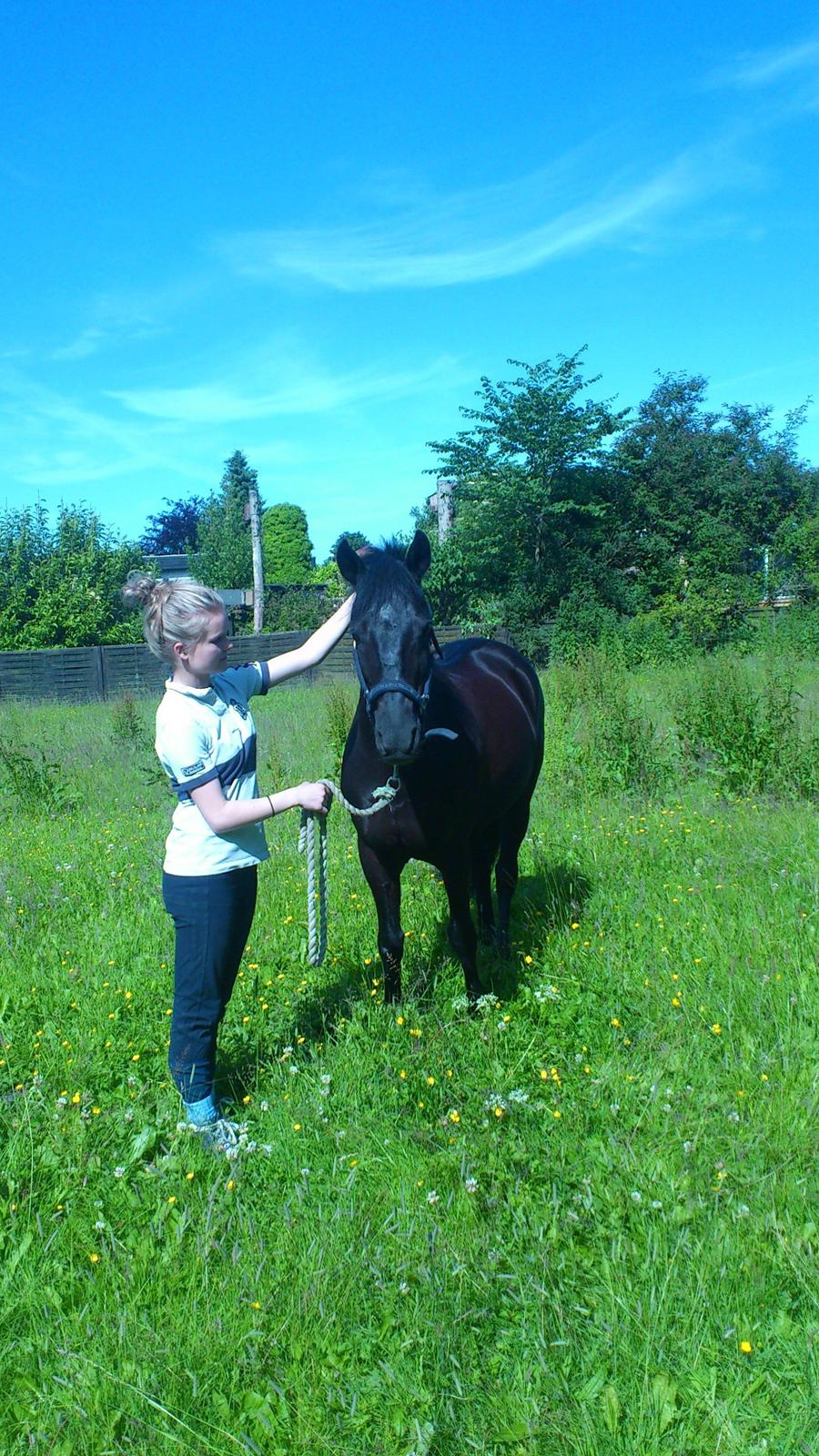 Anden særlig race Blackie - Min skønne pony!! billede 15