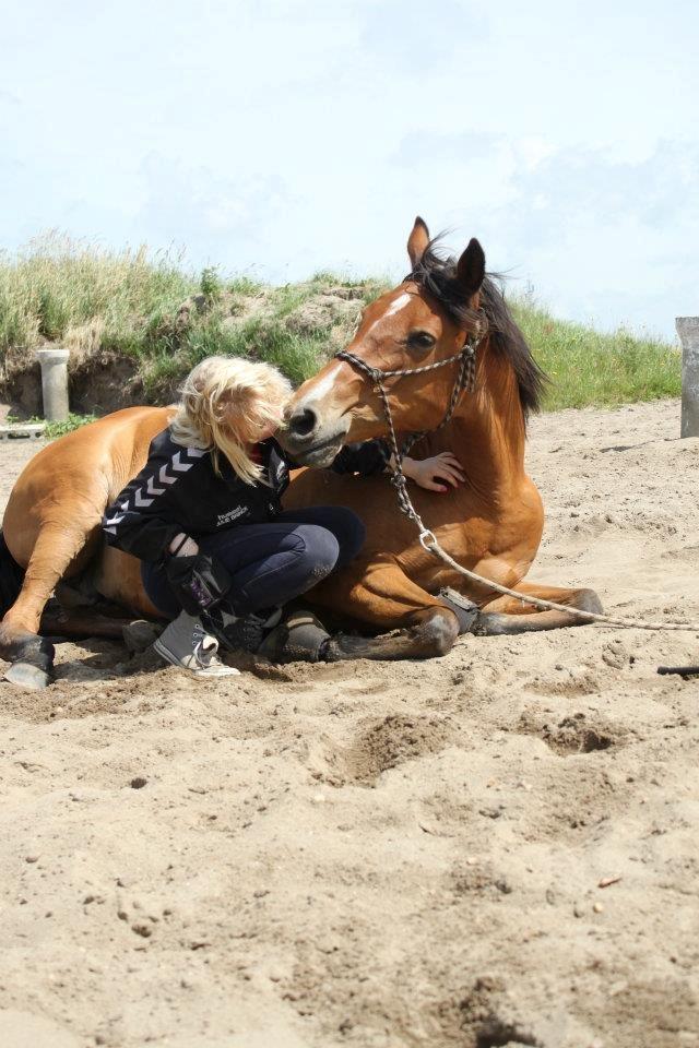 Anden særlig race Chateâu - [Julie] - Min støtte gennem alt ♥ billede 19