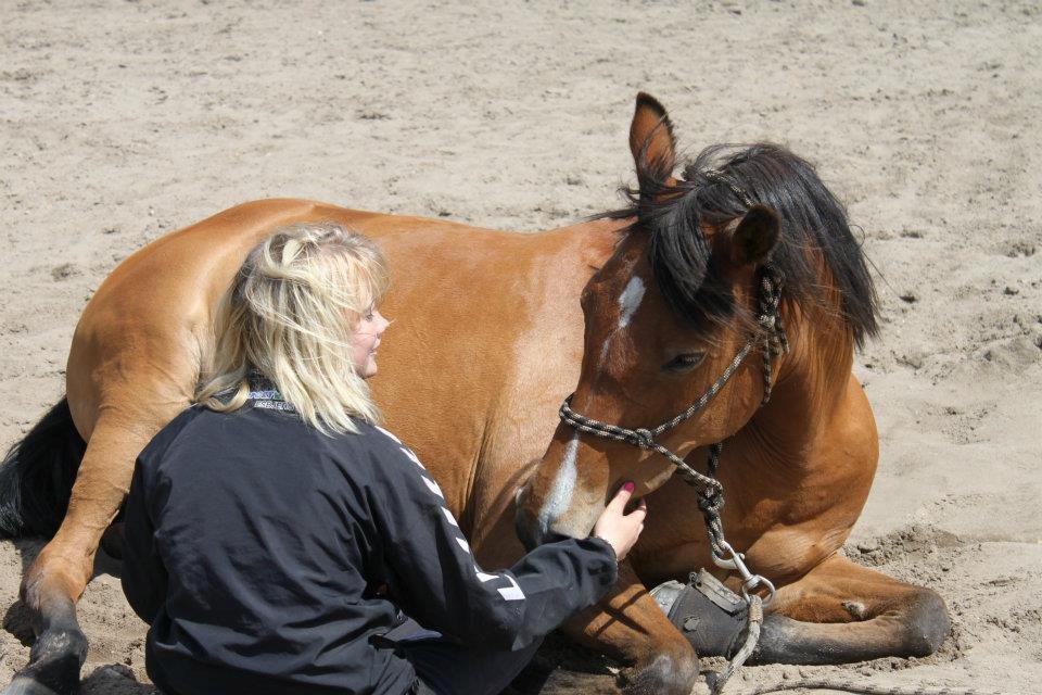 Anden særlig race Chateâu - [Julie] billede 20