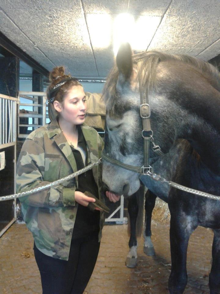 Hollandsk Varmblod Wodan (Grumse) billede 4