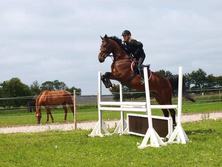 {{currentPhoto.altText}} billede {{currentPhoto.number}}