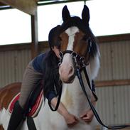 Pinto Amira De'Evolet <3 "Baby" †