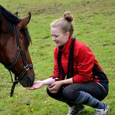 Anden særlig race TASJA