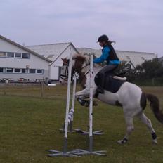 Paint Rosenlyst´s Shane!<3 (Bertil)