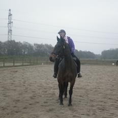 Oldenborg Molly :'(<3