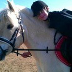 Fjordhest Granlys Amarillo 