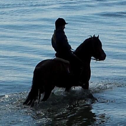 Anden særlig race Aagårdens Tess (Nullsen) - Mig og Tess ved sibirien i faxe<3 billede 16