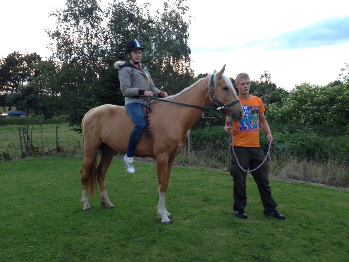 Palomino Ga' Cool Cash - trejde gang i skridt på min prins <3 billede 20