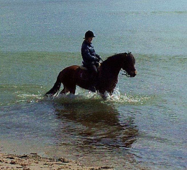 Anden særlig race Aagårdens Tess (Nullsen) - Mig og Tess ved sibirien i faxe ^^<3 billede 17