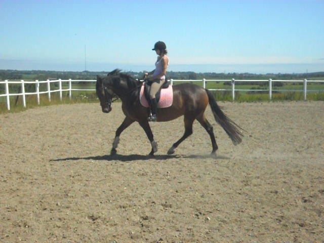 Anden særlig race St. A. Washeba - Juli 2012 :) billede 15