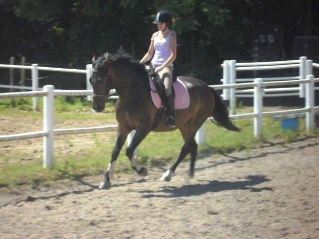 Anden særlig race St. A. Washeba - Juli 2012 :) billede 18