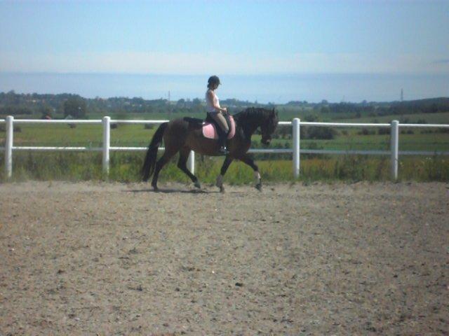 Anden særlig race St. A. Washeba - Juli 2012 :) billede 17