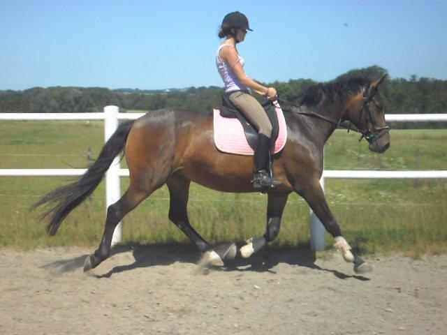 Anden særlig race St. A. Washeba - Juli 2012 :) billede 16