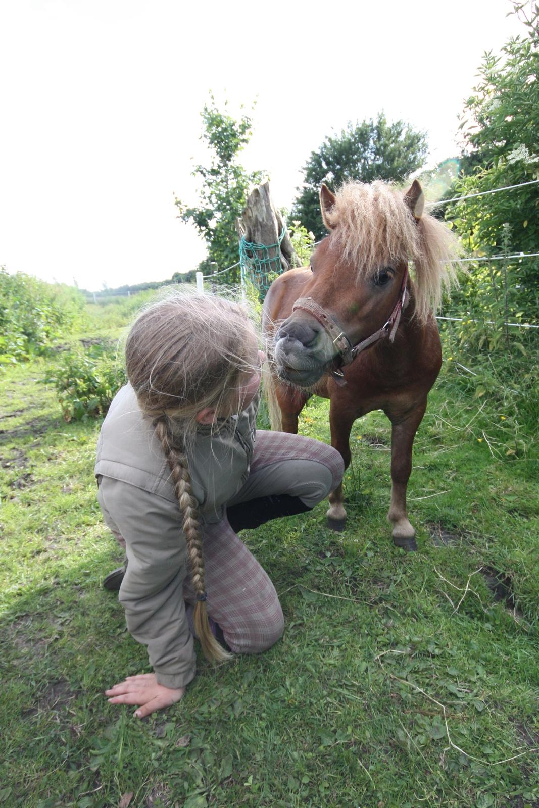 Miniature Laban - Mysser :-* billede 4