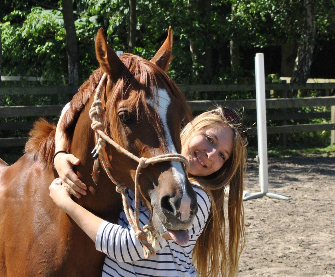 Arabisk fuldblod (OX) Ponylands Another Hero - (3) Ægte kærlig kommer ikke bare, det er noget to væsner skaber ved at holde tæt . / Sommer 2012(Foto: Janni Dahl) billede 2