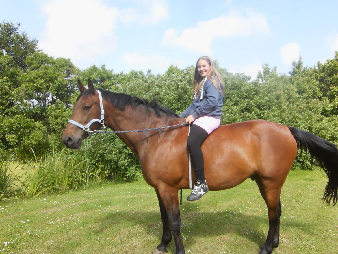 Pinto Elkær's Tidy<3 billede 11