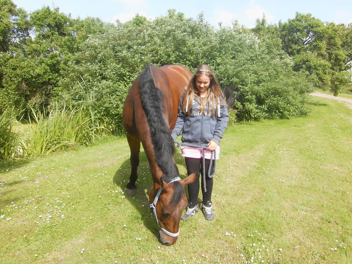 Pinto Elkær's Tidy<3 billede 14