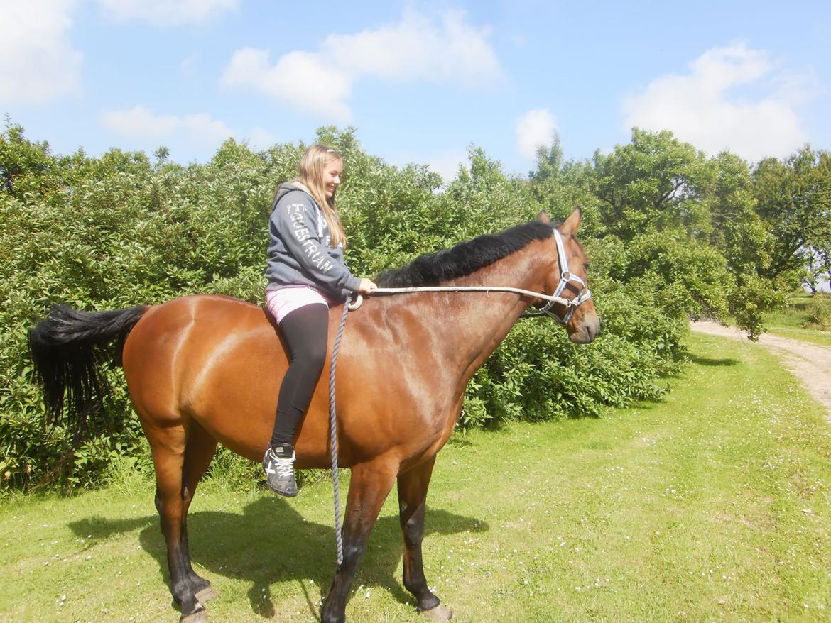 Pinto Elkær's Tidy<3 billede 15