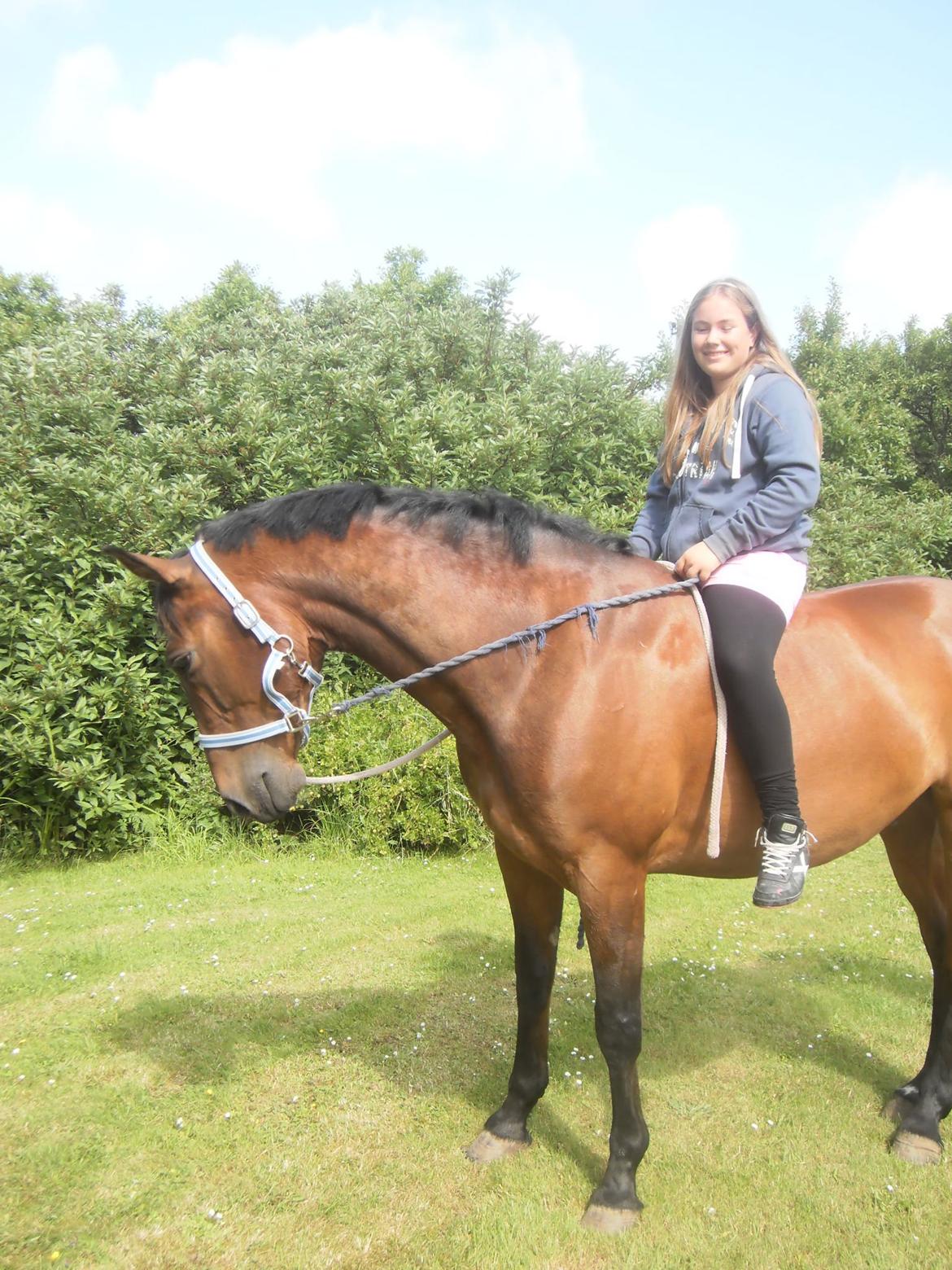 Pinto Elkær's Tidy<3 billede 16