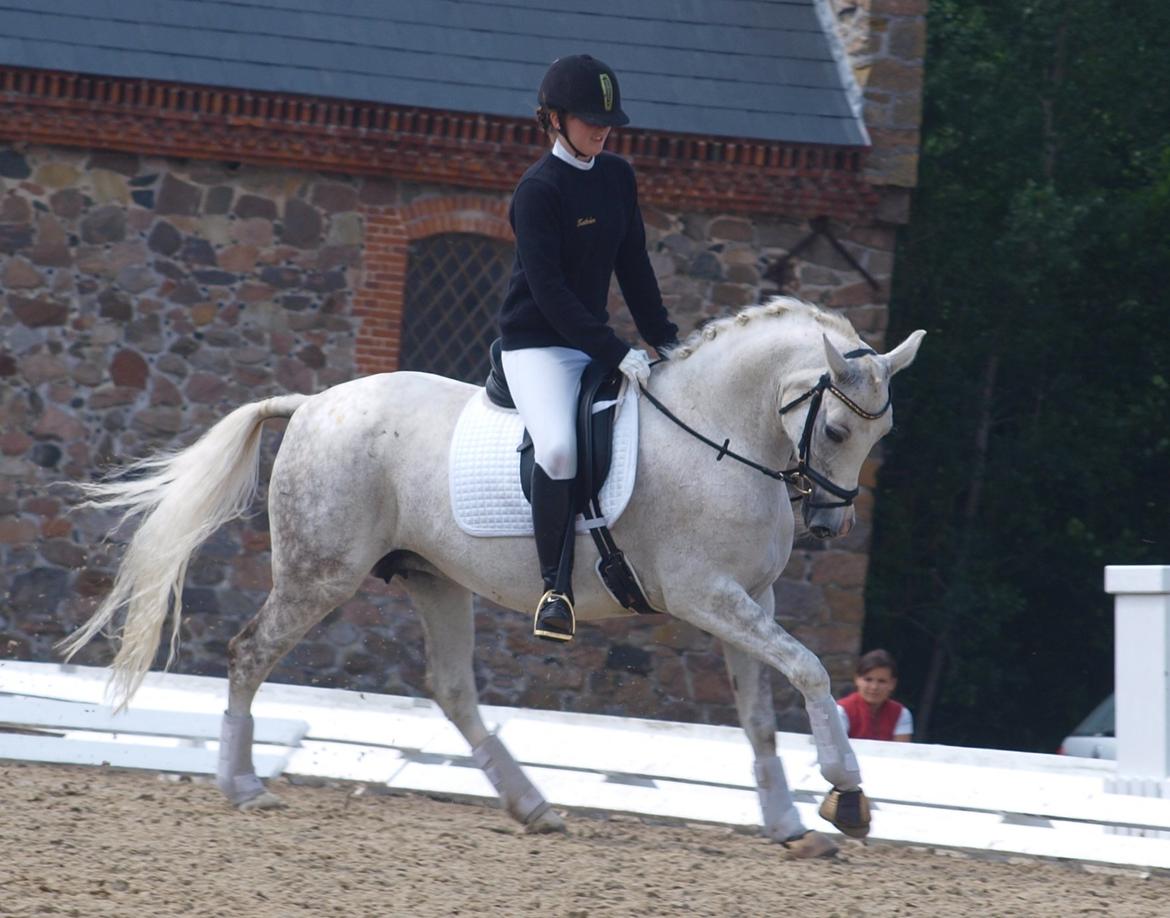 DSP Nørlunds Sally Maree - Galop på Vilhelmsborg 30/6 billede 18