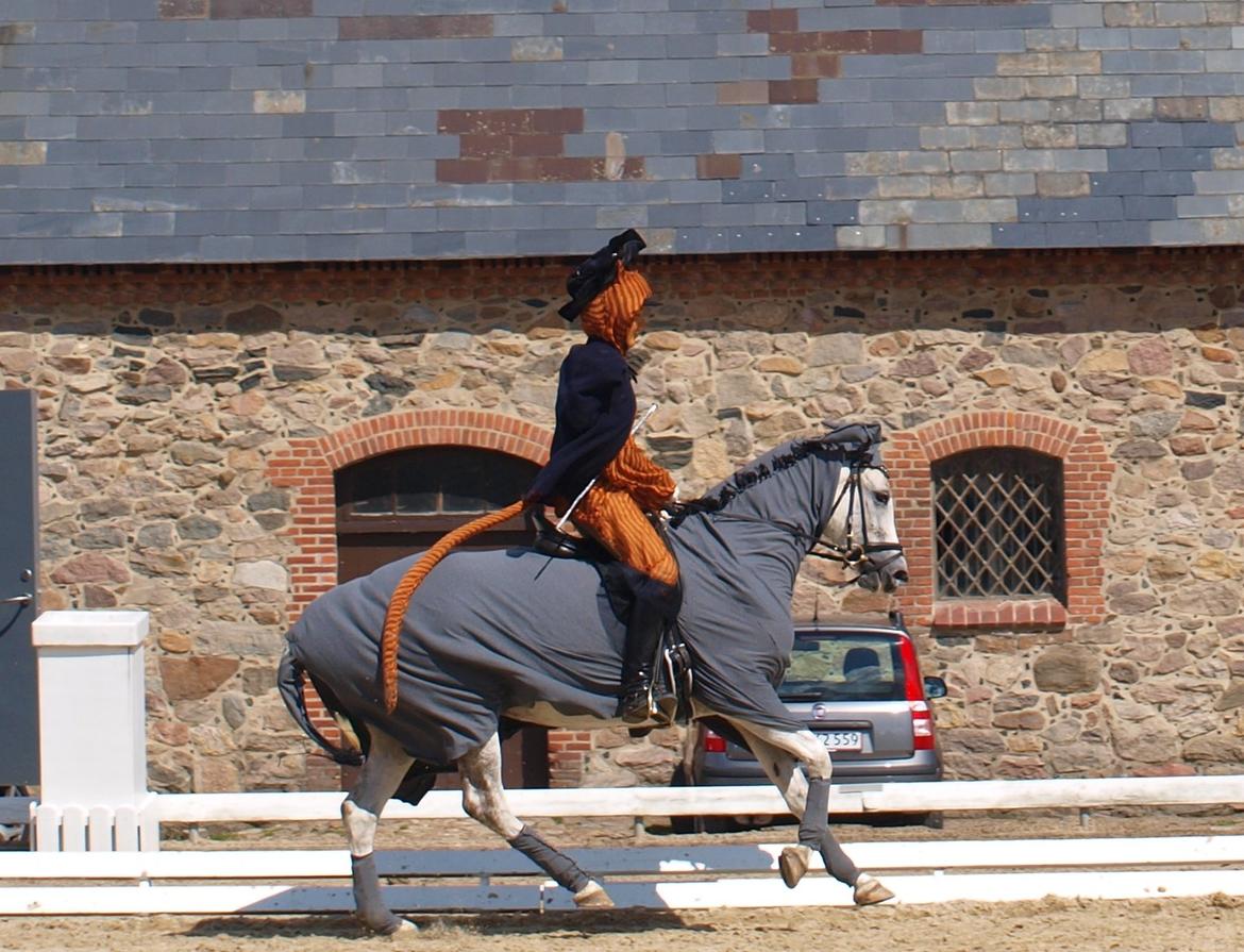 DSP Nørlunds Sally Maree - Vilhelmsborg 1/7 - pas de deux kür, sally som æsel og mig som den bestøvlede kat :D billede 19