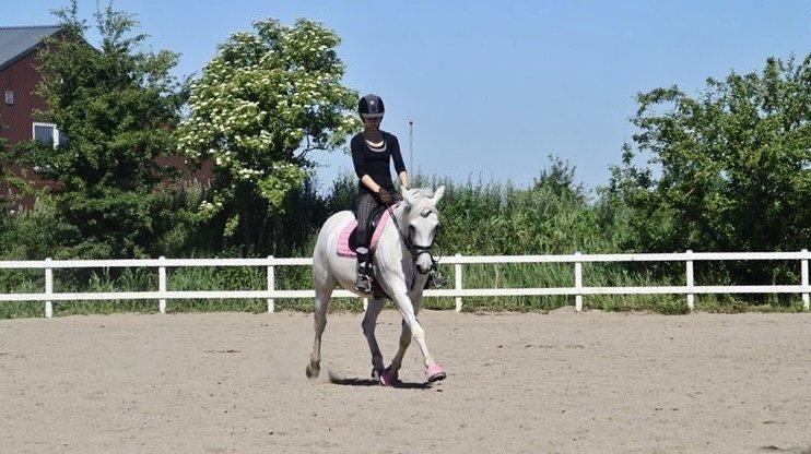 Connemara Mona - Foto: Joséphine Mertinitz billede 11