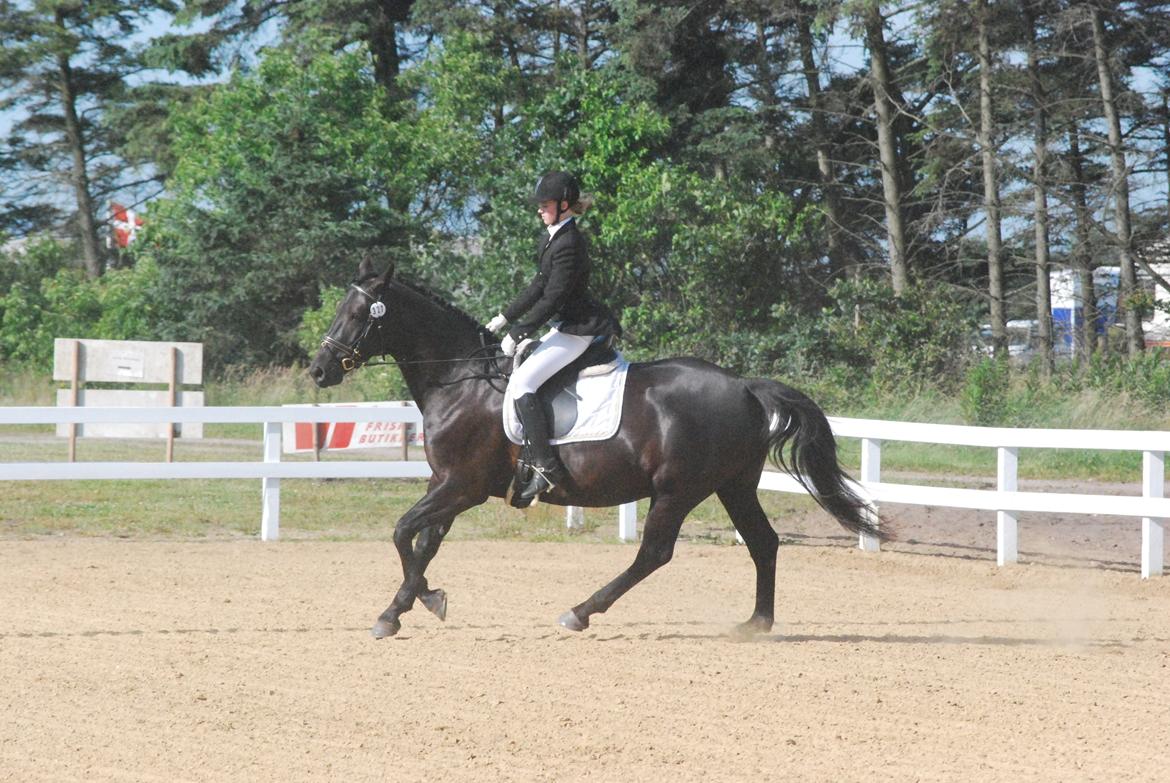 Oldenborg Millers Malou - 1.stævne 4 dages stævne i Hodsager Rideklub. 
LC2 til 55% billede 4