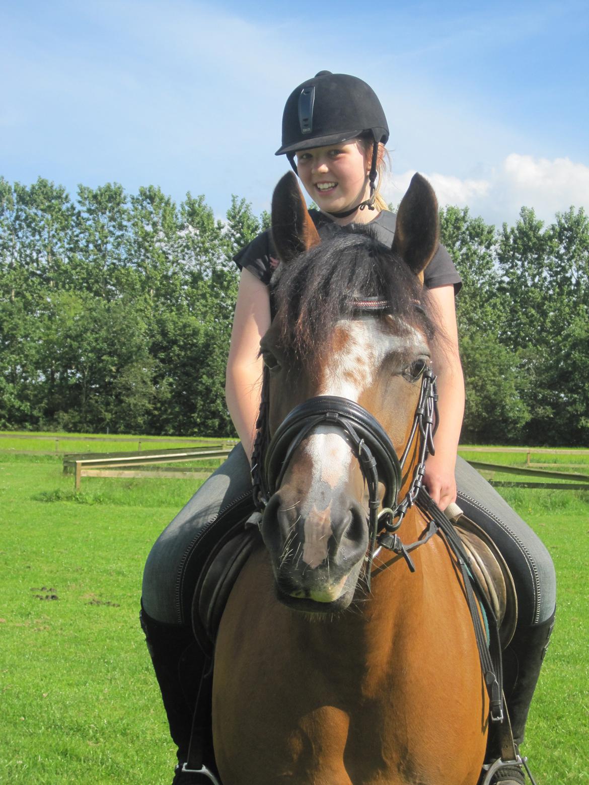 Anden særlig race Beauty - -'You are the only one who has ever touched my heart. It will always be yours. billede 15