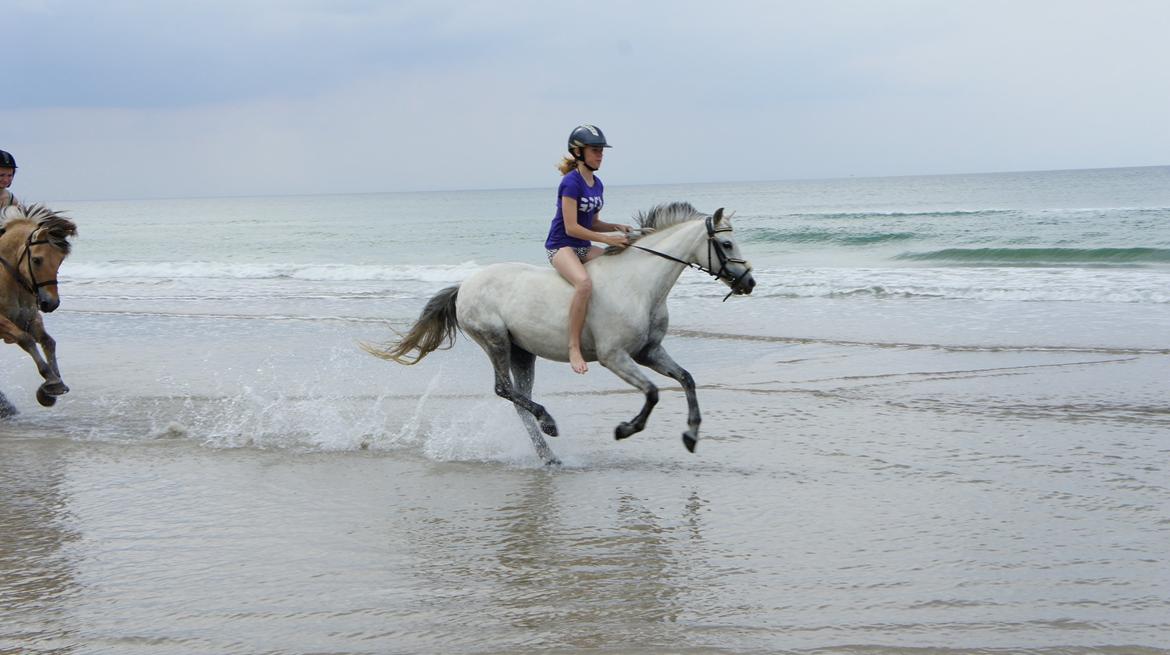 Anden særlig race Jasmin*Solgt )':* <3 - Dejlig galop i vandkanten, på min engel til NØRKS ridelejr :p billede 15