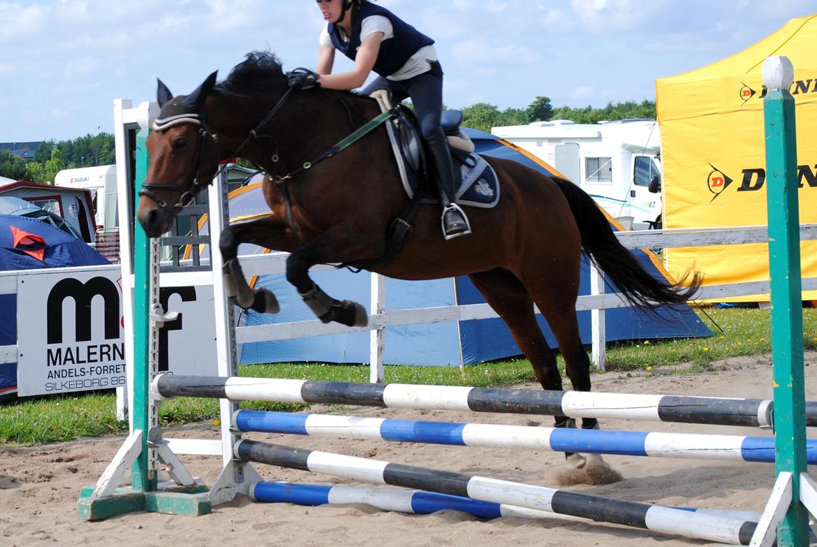 Dansk Varmblod Monique - Monique og jeg, springtræning, juli 2012. Det er første gang vi springer sammen, og Monique havde ikke sprunget i et års tid, derfor sprang vi meget lavt. [Foto: Sofie med mit kamera] billede 10